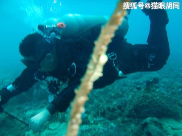 阴森庄园的秘密