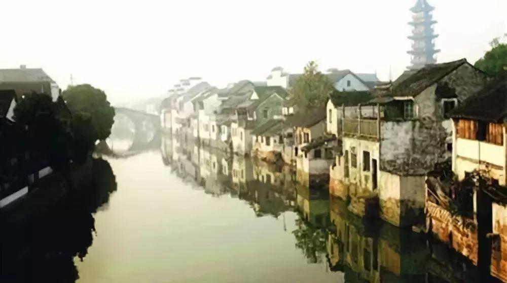 僵尸跳跳跳